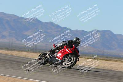 media/Nov-11-2023-SoCal Trackdays (Sat) [[efd63766ff]]/Turn 8 Set 1 (1030am)/